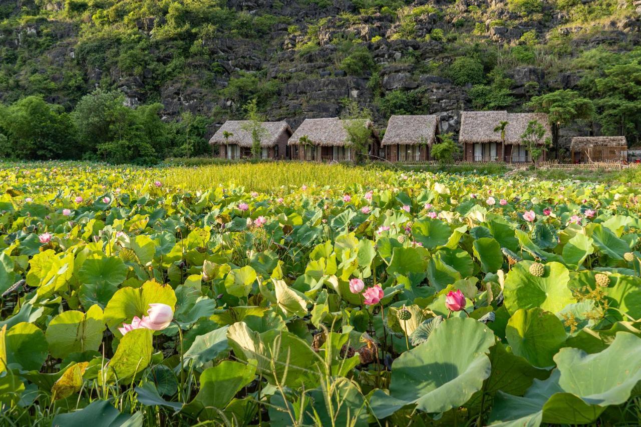 Muong Village Ninh Binh Exterior photo