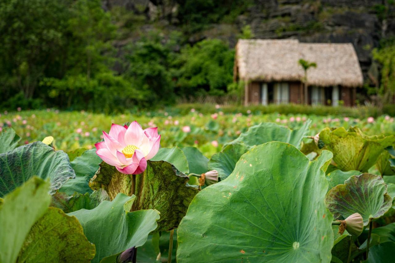 Muong Village Ninh Binh Exterior photo